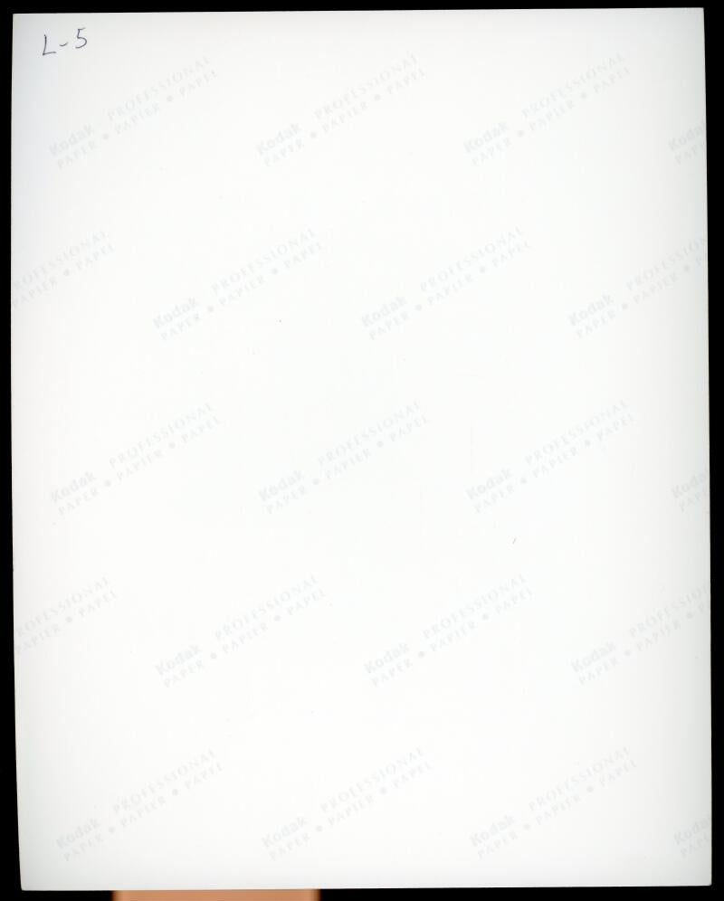 Sharon Lawrence Actress Signed Autographed 8x10 Photo JSA Authentic Image 2