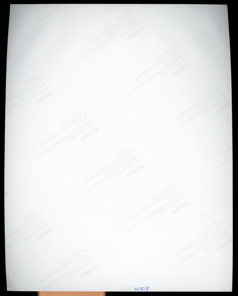 Natasha Henstridge Actress Signed Autographed 8x10 Photo JSA Authentic Image 2