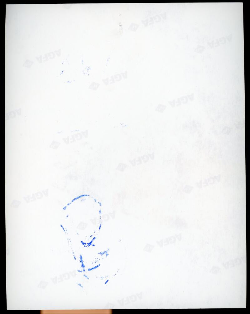 Macy Gray Singer Signed Autographed 8x10 Photo JSA Authentic Image 2