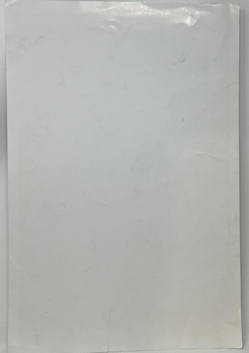 Wildflower Art And Music Festival The Go-Go's Autograph Poster JSA Authentic Image 3