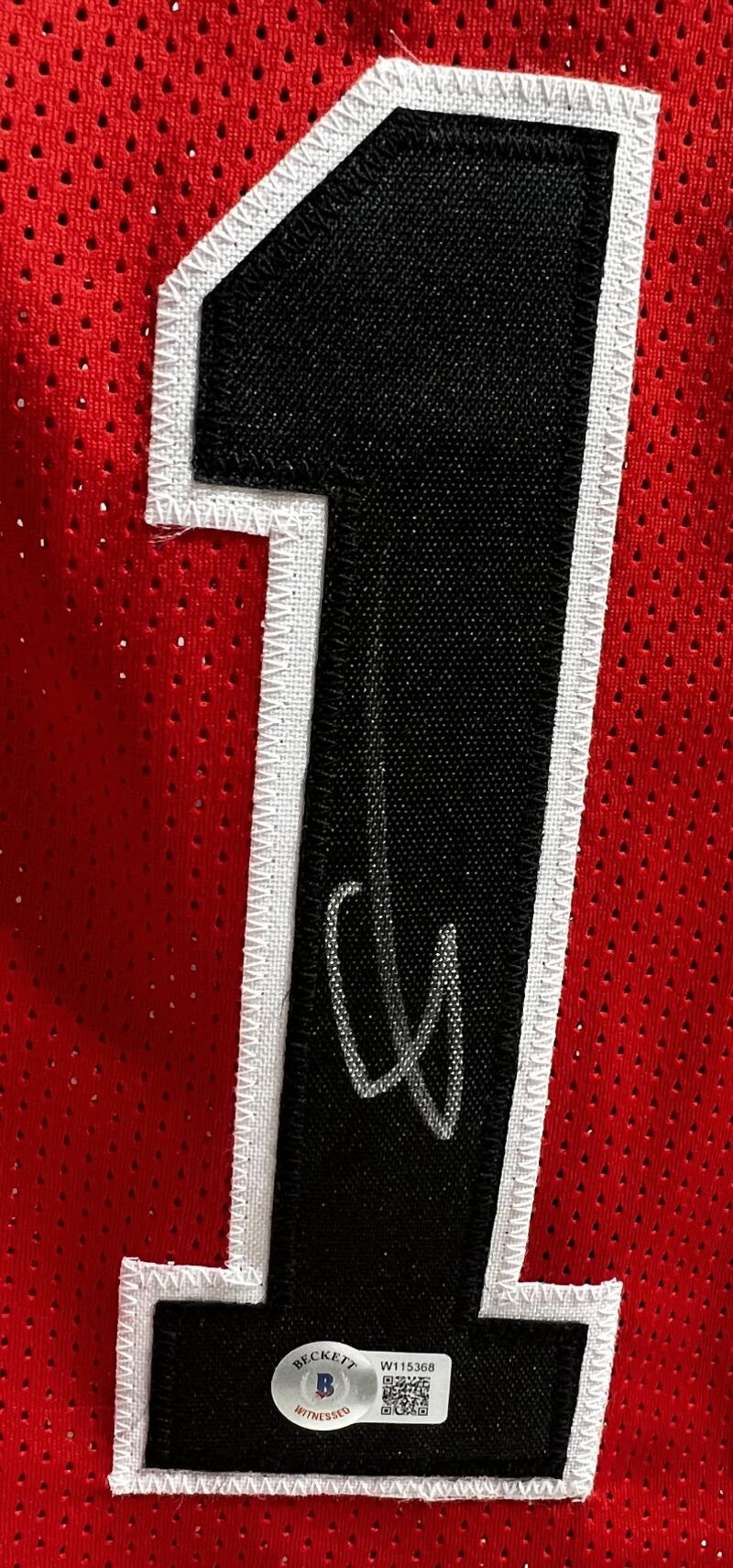 DeMar DeRozan Autograph Signed Chicago Bulls Basketball Jersey BAS Authentic Image 3
