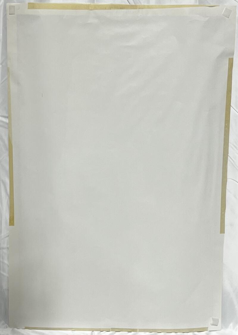 Dallas Cowboys Danny White Autographed Signed 21X31 Poster JSA Authentic Image 3