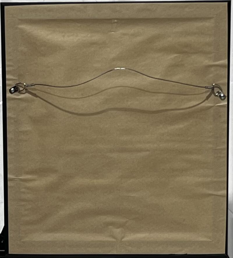 WWE John Cena Autographed Signed 15x17 Framed Poster JSA Authentic Image 2