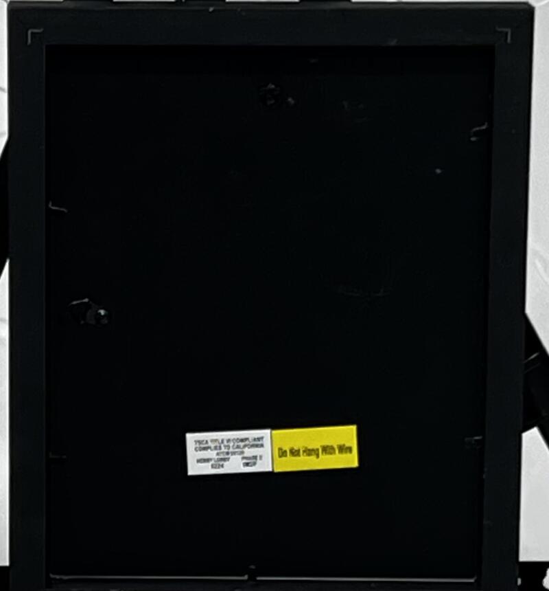 Lonzo Ball Autographed Signed Pelicans 9x11 Framed Poster Panini Authentic Image 3