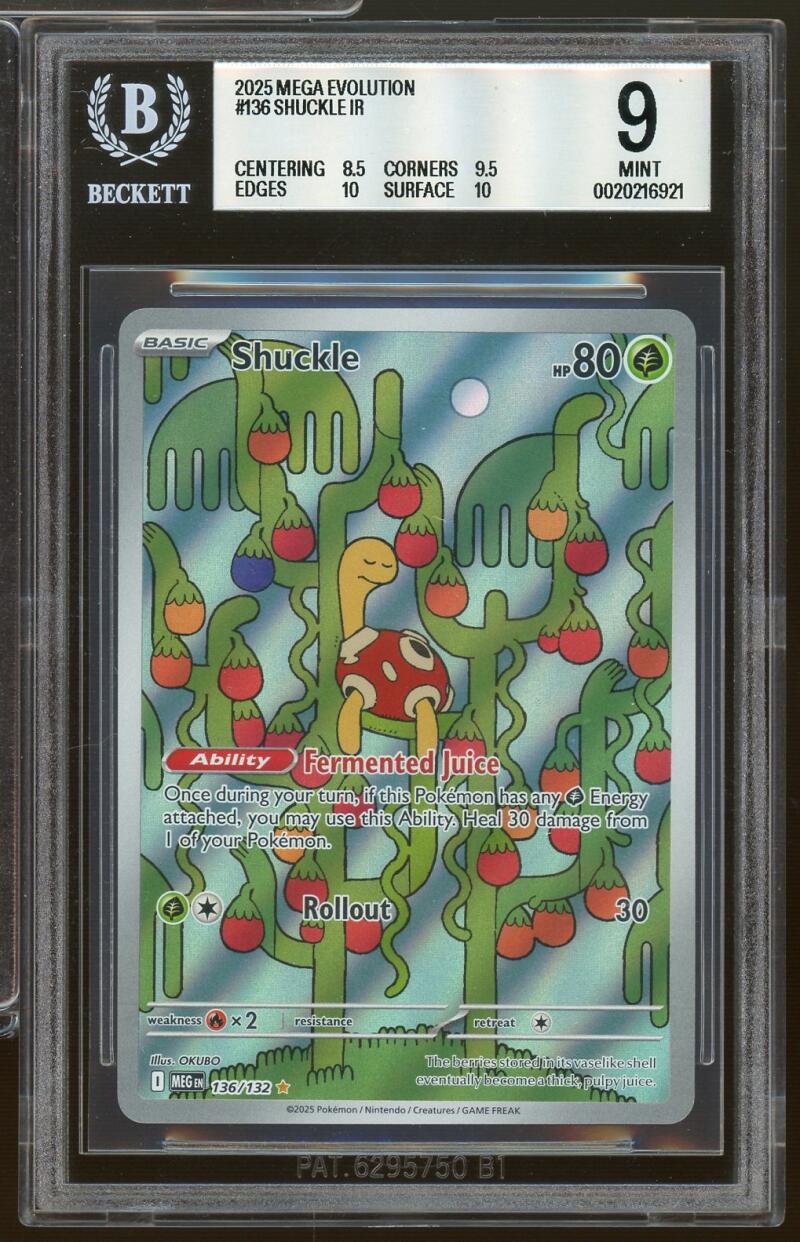 SHUCKLE | 2025 POKEMON MEG EN-MEGA EVOLUTION 136 | ILLUSTRATION RARE