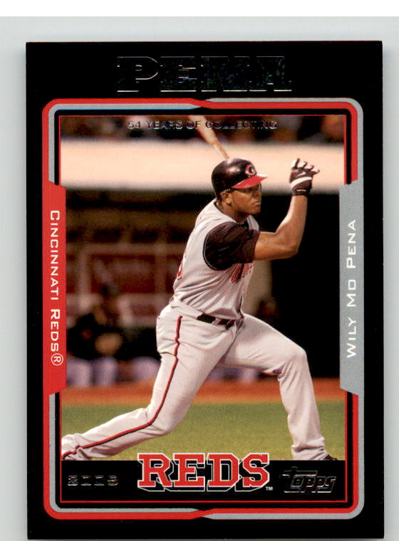 Wily Mo Pena Card 2005 Topps Black #502 Image 1