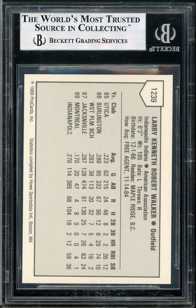 Larry Walker Rookie Card 1980 Indianapolis Indians Procards #1239 BGS 8.5 Image 2