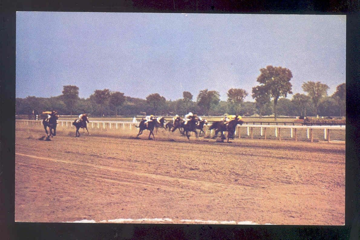 glossy horse postcard coming down the stretch SARATOGA race track new york Image 1