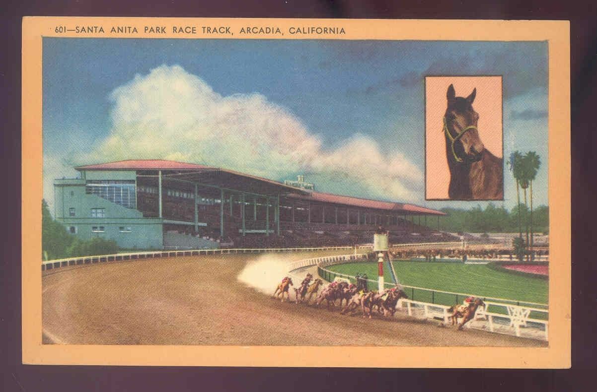 linen horse longshaw postcard SANTA ANITA race track california Image 1