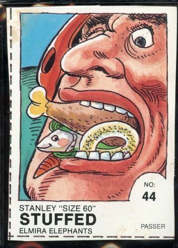 1990 SUNKIST Fruit Snacks NFL Parody Card #44 STANLEY SIZE 60 STUFFED ELEPHANTS Image 1